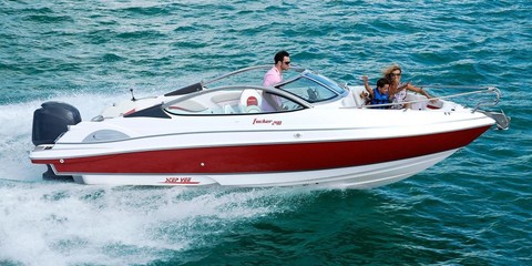 Fibrafort Focker 240