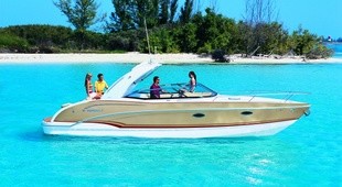 Formula 310 Sun Sport