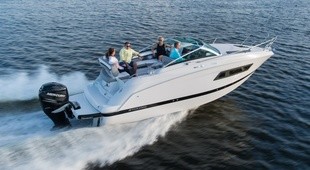 Four Winns Vista 255 OB