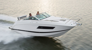 Four Winns Vista 255