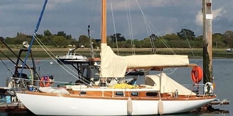 Frans maas 34 fortunella