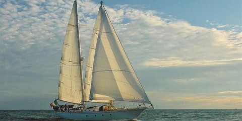 Fred parker 71 schooner
