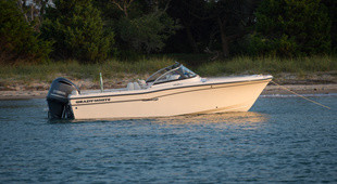 Grady-White Freedom 205