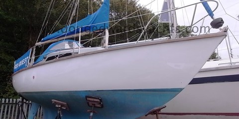 Hurley 22