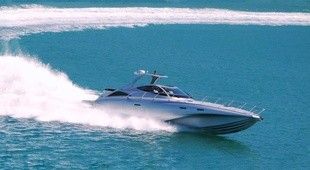 Ice Marine Bladerunner 51