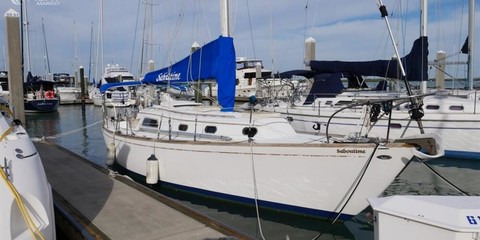 Islander 37