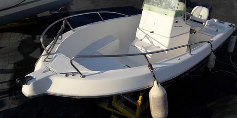 Kelt white shark 175