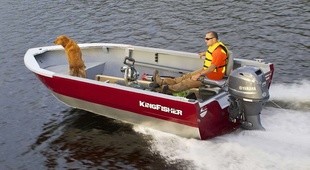 KingFisher 1825 Warrior Tiller