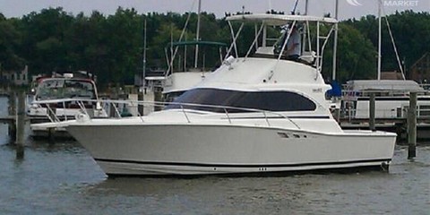 Luhrs 350 tournement