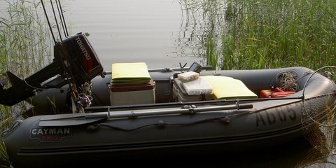 Mnev and K Kayman N-300