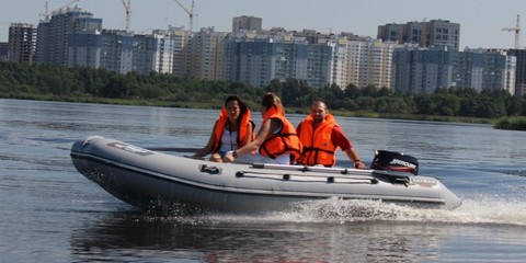 Мнев и К Кайман N-400