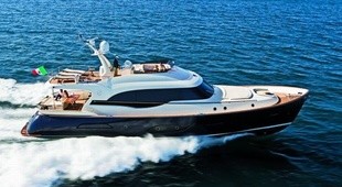 Mochi Craft Dolphin 74