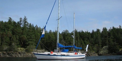 Morgan out island 415