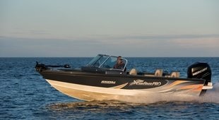 NorthSilver PRO 650 Fish
