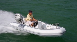 Novurania Deluxe 335