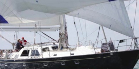 Oyster Ocean Indies II