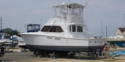 Pace sport fisherman