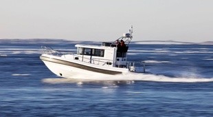 Paragon 31 Flybridge