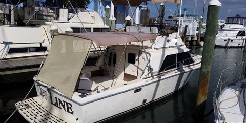 Phoenix 29 convertible