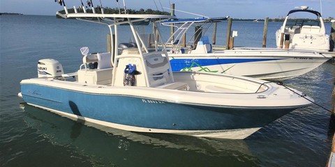 Pioneer 222 sport fish