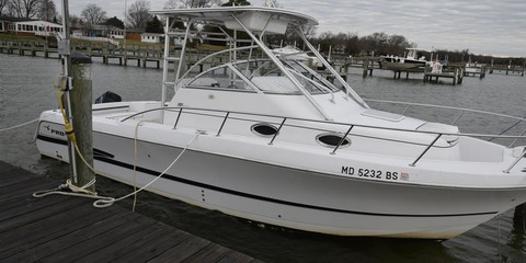 Pro-line 30 sport wa