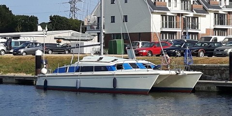Prout snowgoose 37