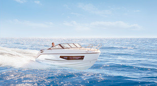 Quicksilver Activ 805 Cruiser