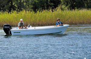 Quicksilver Fish 440