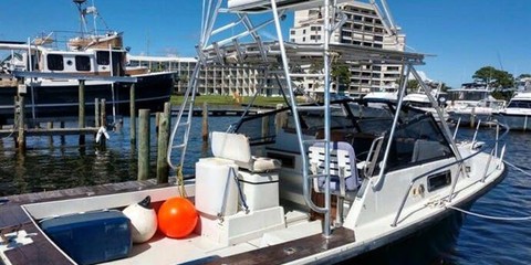 Rampage 28 sportsman