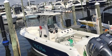 Robalo r 260 cc