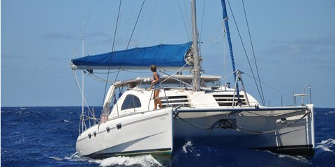 Robertson leopard 42