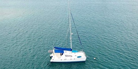 Robertson&caine leopard 45