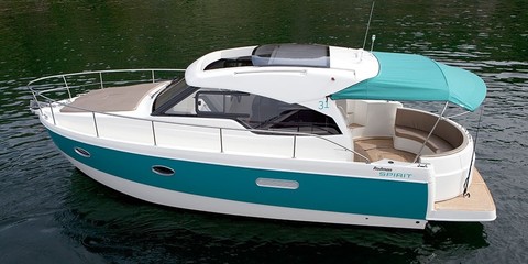 Rodman Spirit 31