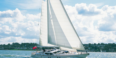 Oyster Royal Leopard