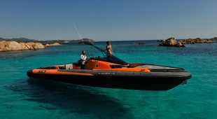 SACS Strider 12 Esse R