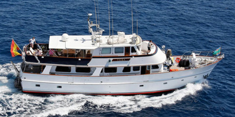 American Marine Corporation Sai Kung