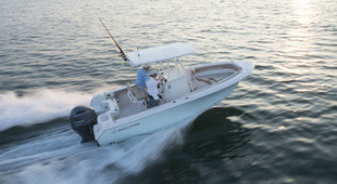 Sailfish 220 CC