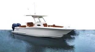 Scout Boats 255 LXF