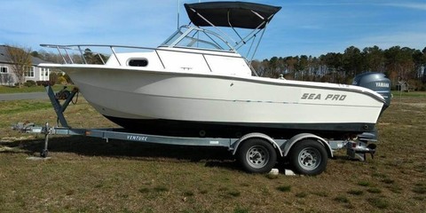 Sea Ray pro 21 walkaround