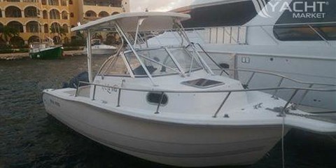 Sea Ray pro 220 walkaround