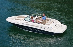 Sea Ray 200 Sundeck