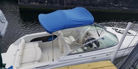 Sea ray 225 weekender