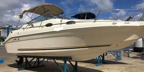 Sea ray 250 sundancer