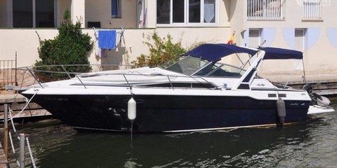 Sea ray 300 da
