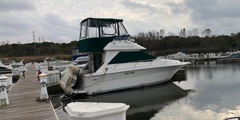 Sea ray 300 sedan bridge
