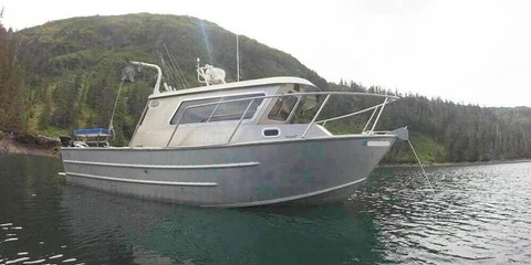 Sea Ray wolf 27