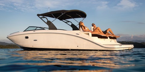 Sea Ray SDX 290