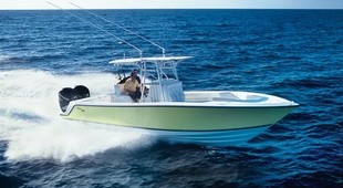 SeaVee 290