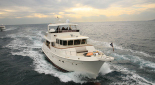 Selene 60