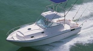 Silvercraft 35SF